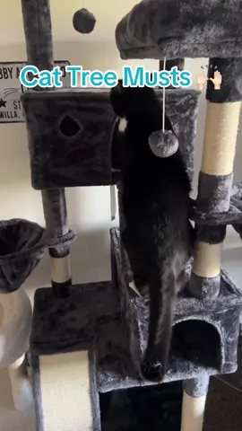 This cat tree for big cats is tall and sturdy and we are loving it 🤩 #cats #cattree #cattreetower #cattower #tiktokshopcreatorpicks 