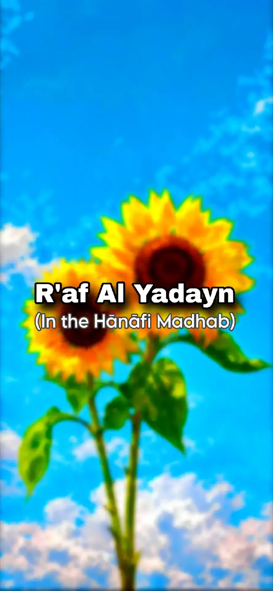 #xybcafyp #xyzba #hanafi #hanafi #hanafi 