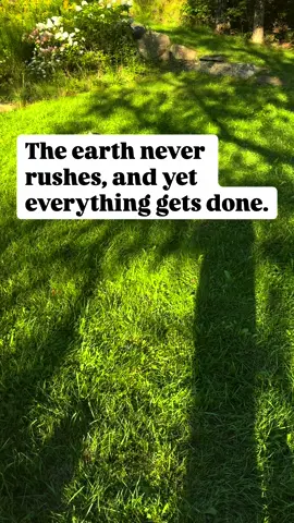 Just incase nobody has reminded you recently #motherhood