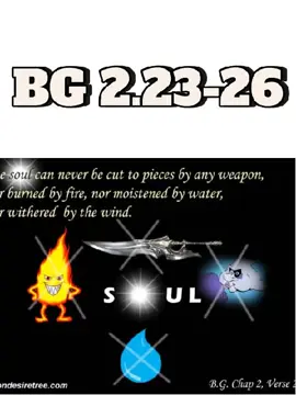 BG 2.23-26 Qualities of Soul. 魂の質。