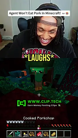 #agent #Minecraft #pork #viral #fyp 