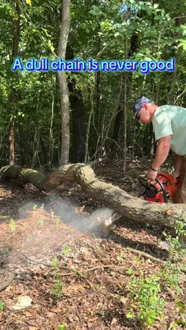 Sharpen your chainsaw in seconds with the Yardmaris sharpener ⚡️ Fast, easy, and no more struggling with old files. Linked below! #yardmaris #chainsaw #tooltok #toolreview #yardwork 