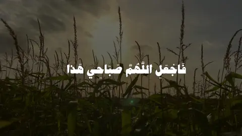 صـباح الخـير🌞🤍. ⠀⠀⠀⠀⠀ ⠀ ⠀ ⠀ ⠀ ⠀ #دعاء #الصباح #العراق #بغداد #كربلاء 