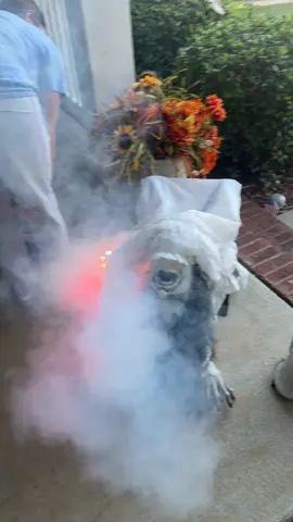 The fog is not included 