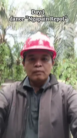 ngapain repot nonton sampai habis? 😮‍💨 #kalimantanbarat #mandorsawit #sawitindonesia #kebunsawit #planters 