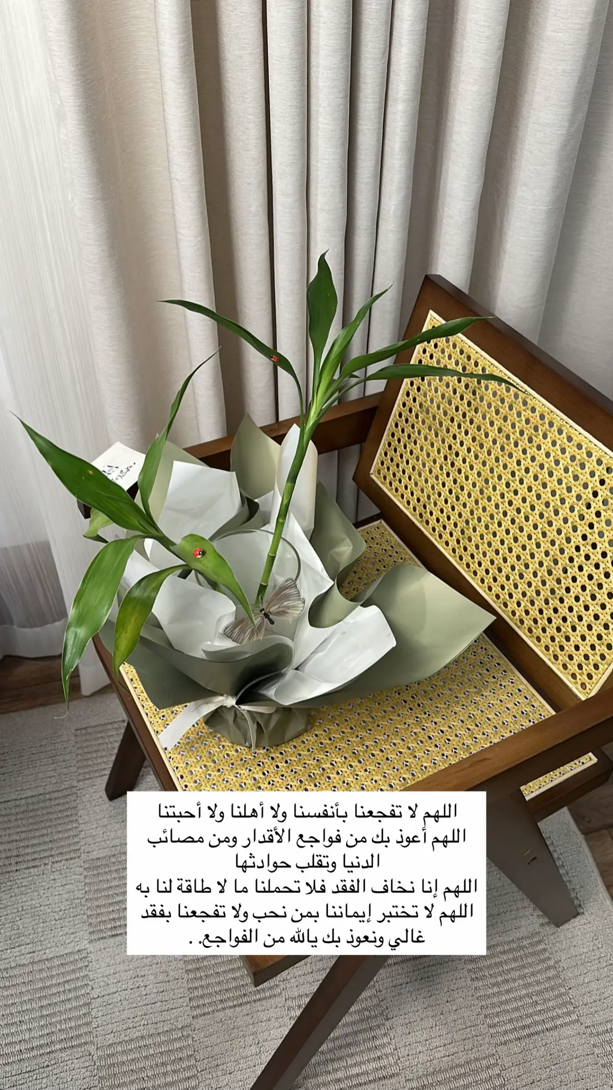 #عساف #يوشا_عبدالعزيز #موسى_تركي 