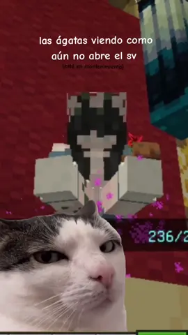 #meme #fyp #minecraftgirl #servers #chicas 