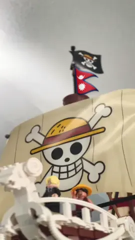 Thanks to Nepal for reminding the world that the younger generation is prepared to change it! #nepal #genz #resist #onepiece #flag 