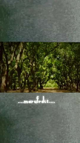 #creatorsearchinsights #foryou♥️♥️ #movieclip #foyouage #fyppppppppppppppppppppp 