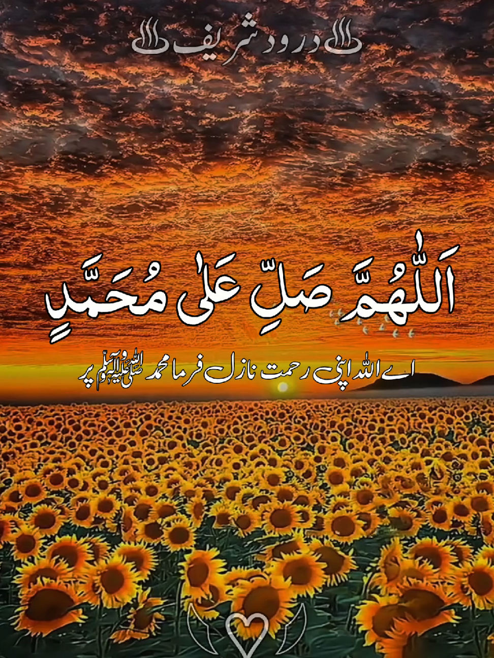 #درودشریف_پڑھ_کر_آگے_شیئر_ضرور_کرے #ارحمنا_برحمتك_ياارحم_الراحمين #راحت_القلوب #سبحان_الله_وبحمده_سبحان_الله_العظيم #foryoupage @꧁𝗛𝗼𝗹𝘆༺ قرآن꧂ @Jia @TikTok @tiktok creators @TiktokPakistanOfficial 