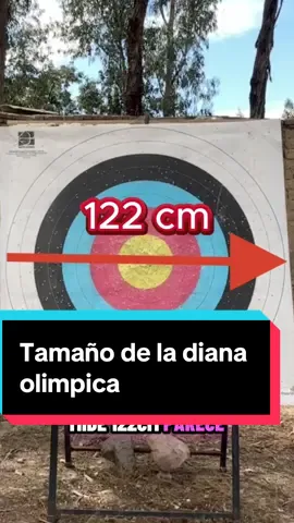 Parece fácil hasta que descubres lo diminuto que es el centro de la diana 🎯😱 El tiro con arco combina fuerza, calma y precisión absoluta. No todos los deportes exigen apuntar a una naranja… ¡desde tan lejos! 🍊🏹 Te gustaría aprender este deporte? Te leo en los comentarios 👀 #bolivia  #deporte #cochabamba 