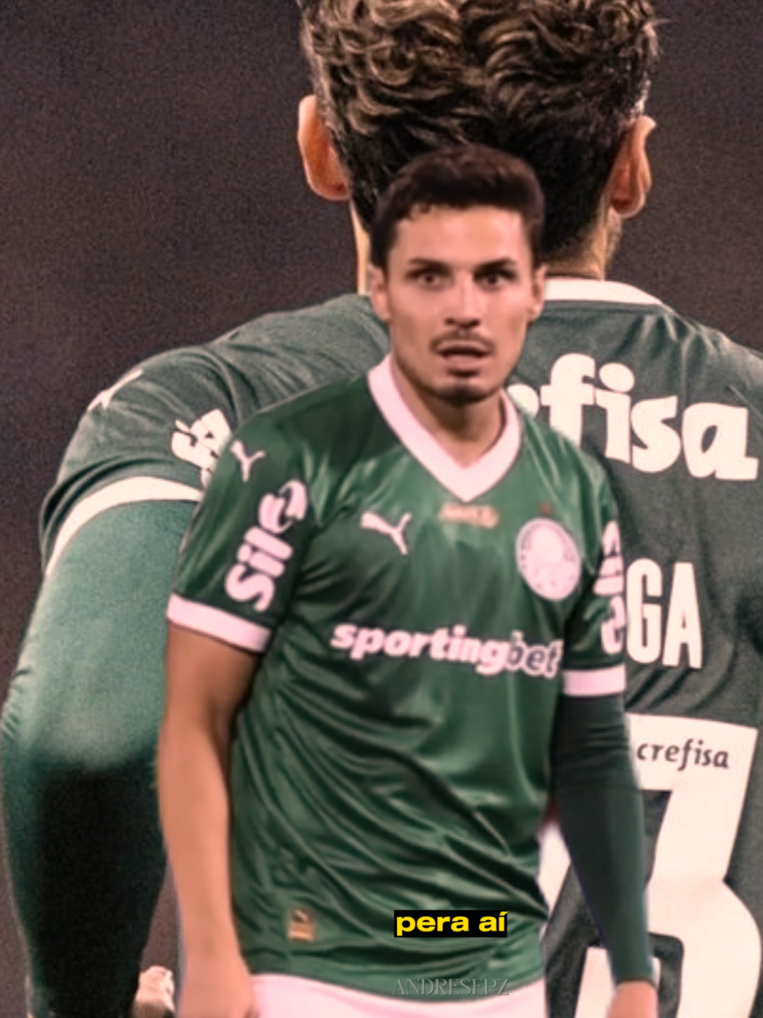 lealdade acima de tudo 👑 #palmeiras #fyp #foryou #xbcyza #raphaelveiga