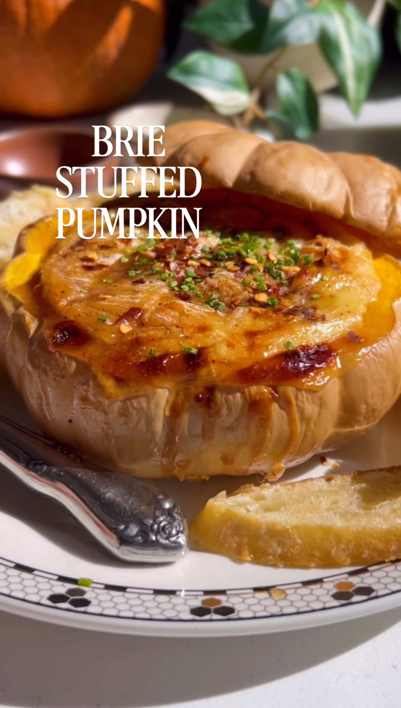 Baked Brie & Hot Honey inside a pumpkin! Ingredients: •1 pumpkin. •1 brie wheel. •olive oil. •1/4 c honey. •1/4 tsp chipotle powder. •crushed red peppers to taste. •pinch of cinnamon. •pinch of salt. •chives. Directions: 1. Hollow out the pumpkin as much as you can, to ensure you can fit the brie. 2. Add some olive oil to the pumpkin and bake at 400F for 20 min. 3. Pat dry the pumpkin as much as you can. 4. Add some honey to the inside of a pumpkin. Add the brie inside the pumpkin and score. Drizzle more honey reserving a touch for the end. 5. Bake covered at 400F for 10 min, remove pumpkin ‘lid’ and bake 15 min. 6. Top w more honey and chives. #pumpkin #bakedbrie #appetizers #makeitdelicious #foodstagram   