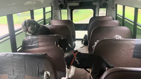 Gus’s first howls 🥹🚐