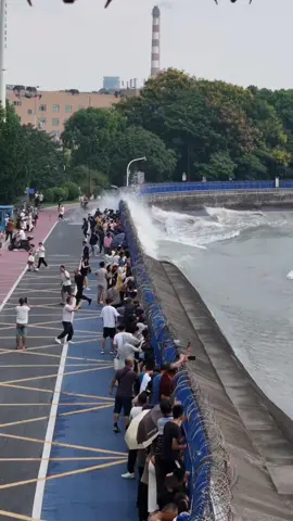 #fyp 