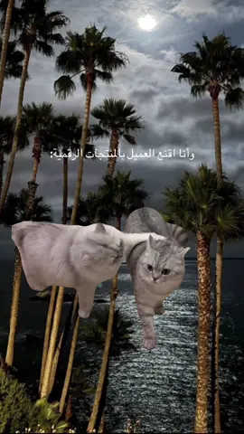 #التجاره_الرقميه #fypシ゚ #foryoupagе #اكسبلور 