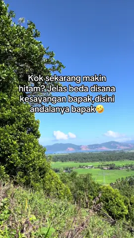 Jangan disamakan🤣#petanimuda #petaniindonesia🇮🇩🇮🇩🇮🇩🌿🌿 #petanicengkeh #kolakapride🏝 #fyppppppppppppppppppppppp 