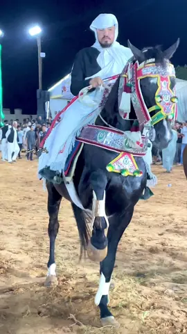 فرأيك ليش لحصان يدير هكي #ربي_يبارك_مشالله❤ #المصور_بلقاسم_غيث📸🔥 #خيل_وخياله🐎 #الفروسية_الشعبية_ليبيا 