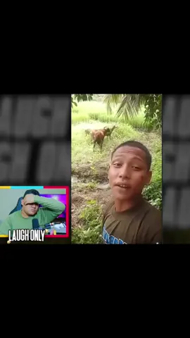 🐂:sok keras lu🤣#yourdudhreaction #memestiktok #yourdudh #reaction #fyp 