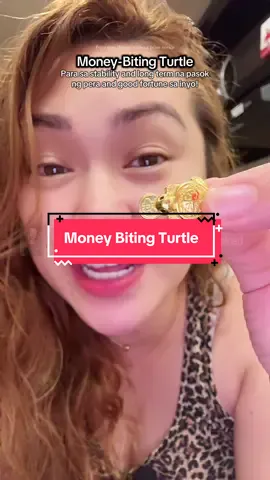 Money-Biting Turtle #luckycharm #pampaswerte #moneymagnet #moneybitingturtle #fengshui 