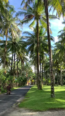 Nuansa krui emang beda,, #pesonalampung #krui #lampung #fyppppppppppppppppppppppp 