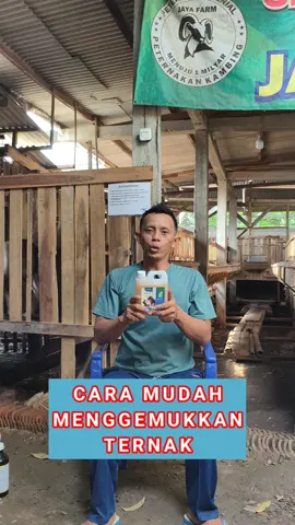 Bikin pertumbuhan ternak maksimal dan bagus bisa dapat gemuk-gemuk secara mumpuni wajib sekali untuk menunjang kebutuhan nutrisinya dari luar Khususnya dikandang jaya farm selalu menggunakan produk tambahan nutrisinya dengan herbatik herbal penggemuk hewan ternak kambing,domba, dan juga sapi yang bagus sekali benar-benar terbuat dari seratus persen herbal alami yang aman untuk tubuh ternak juga,bisa untuk diberikan secara rutin dan konsisten setiap dua hari sekali maka nantinya benar-benar bisa bagus sekali pertumbuhan pada ternak kambing,domba,dan juga sapi bisa gemuk-gemuk seperti yang kita sebagai peternak harapkan untuk sistem cara pemberiannya bisa dicampurkan pada pakan comboran ternaknya aturan dosisnya sudah tersedia didalam kemasannya,wajib perlu diperhatikan untuk produk herbatik yang asli ori sudah kami sertakan di keranjang kuning jangan sampai keliru njeh dengan produk versi tiruannya yang kw yang nantinya bisa berbahaya untuk ternaknya #herbatik #herbatikpenggemuksapidankambing #herbatikpenggemuksapikambingviral #herbatikpenggemukternak #herbatikpenggemuksapikambingalamiyah 