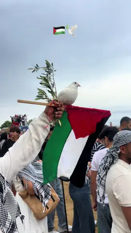🇵🇸🕊️ . . #palestine #اسطول_الصمود_العالمي #gazza 