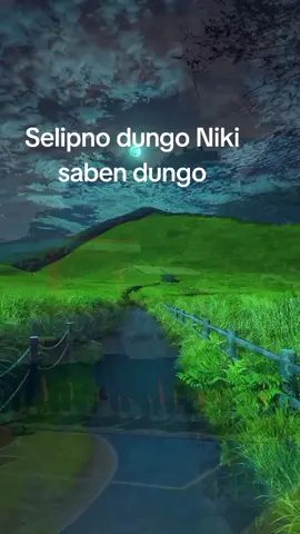 #qolbitu