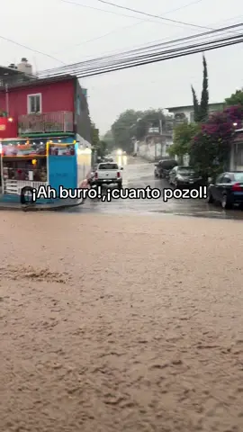 Llovió sabroso,¡Jajajaja! 😂👌🏻y la 5ta pte norte lo sabe jajaja, siempre ríos de pozol cuando hay lluvia. #pozol #lluvia #tuxtlagutierrez #fyp
