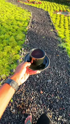 Ngopi pagi with the view😍 #jawatimur #bromotenggersemeru #pronojiwo #semeru #iphone15 