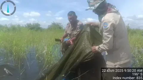 អរគុណបាទ😍🙏 #reel #fypシ゚ #fishing #tiktok 