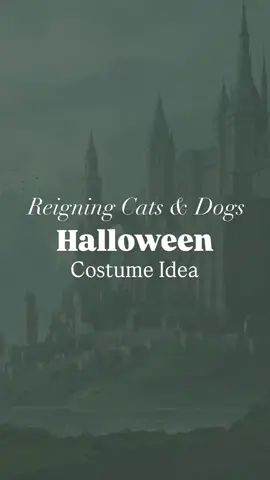 Day 12/31 🎃 Reigning Cats & Dogs . A little play on words and a great duo/couple/group costume!!! Put on your Royal looks, add on some dog or cat ears, paint your face into an animal make up look and you’re ready to go.  . #halloweencostume #halloween #halloweenfashion #playonwords #fashionstylist 