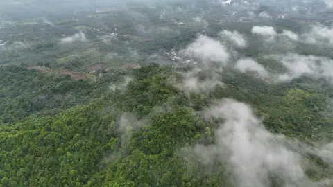 Kampung halaman yg menghijau #18kaumorangaslimalaysia  #kampunghalaman  #kampungbelangkap 