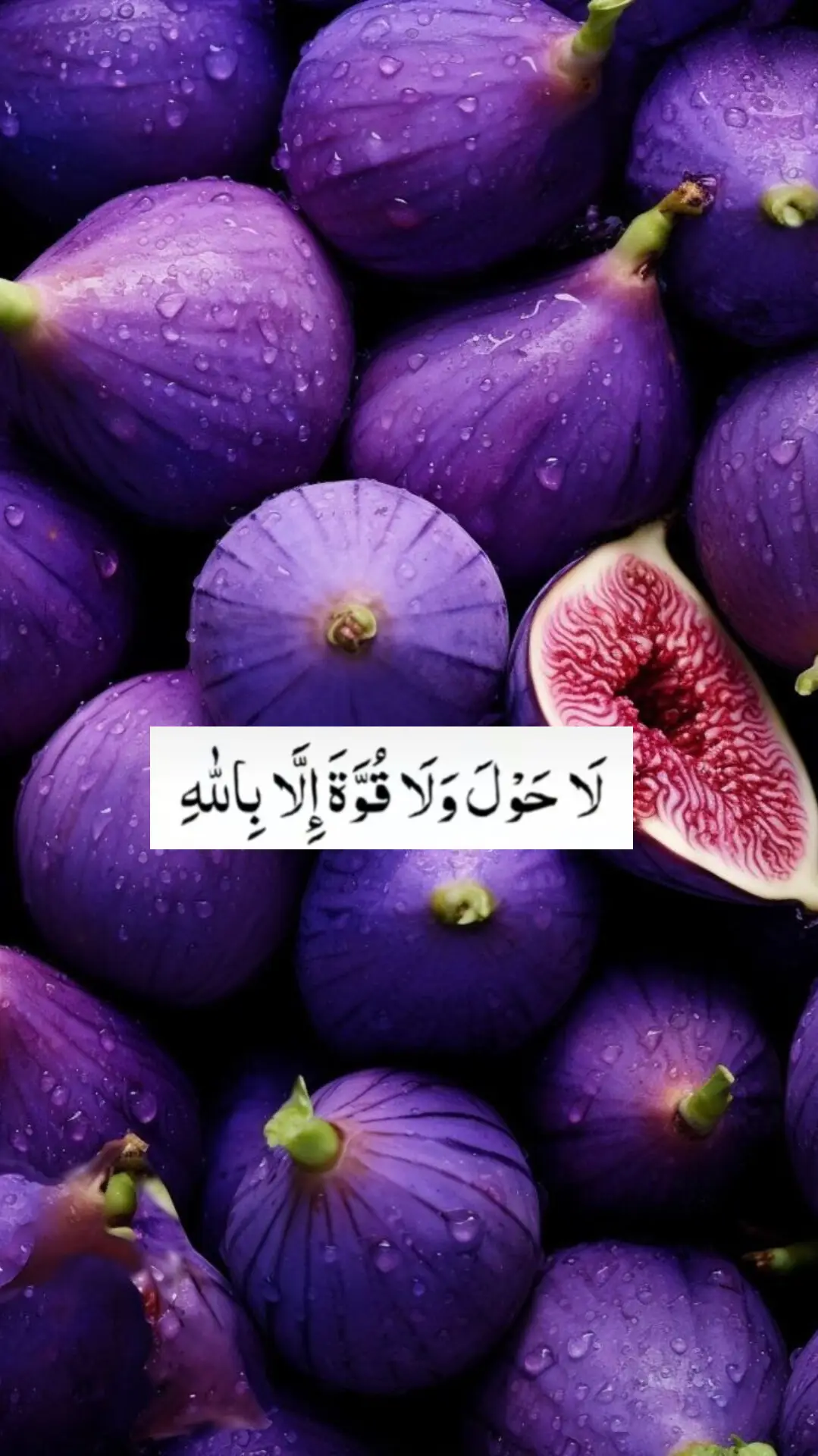 خدا اور اس کے فرشتے آپ ﷺ پر درود بھیجتے ہیں۔ اے 💯! ايمان والو 🖤.!! تم بھی ان  ﷺ پر درود و سلام بھیجو۔👇 اللَّهُمَّ صَلَّ عَلَى مُحَمَّدٍ وَ عَلَى آلِ مُحَمَّدٍ كَمَا صَلَّيْتَ عَلَى إِبْرَاهِيمَ وَعَلَى آلِ إِبْرَاهِيمَ إِنَّكَ حَمِيدٌ مَجِيدٌ .❤️ اللَّهُمَّ بَارِكْ عَلَى مُحَمَّدٍ وَ عَلَى آلِ مُحَمَّدٍ كَمَا بَارَكْتَ عَلَى إِبْرَاهِيمَ وَعَلَى آلِ إِبْرَاهِيمَ إِنَّكَ حَمِيدٌ  مَجِيدٌ ❤️ TIKTOK I'D👇👇👇👇 amirkhan..719   Islamic videos  #islamabadbeautyofpakistan #Islamabad #islamicrepublicofpakistan #Pakistan #beautifuldestinations 