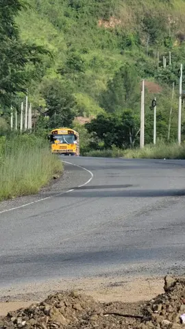 TRANSPORTE ZUCRUZ BLUE BIRD ALL AMERICAN  Bajando las famosas vueltas de los gringos en chancaya yoro Honduras con destino hacia san pedro sula  #Busologos #Yoreños  #bluebirdallamerican  #fypviralvideo🇭🇳🚍❤️  #pasionporlosbuses❤🚍  📸AlexRodriguez455 