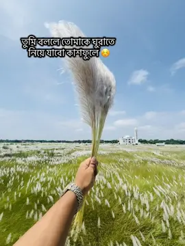 ব্রাহ্মণবাড়িয়া কাশফুল ❤️‍🩹 #foryou #foryoupage❤️❤️ #viral #brahmanbarikashful 