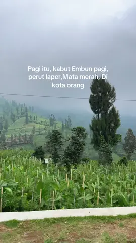 betapa serunya di kala itu🥹 #foryuu #dieng 