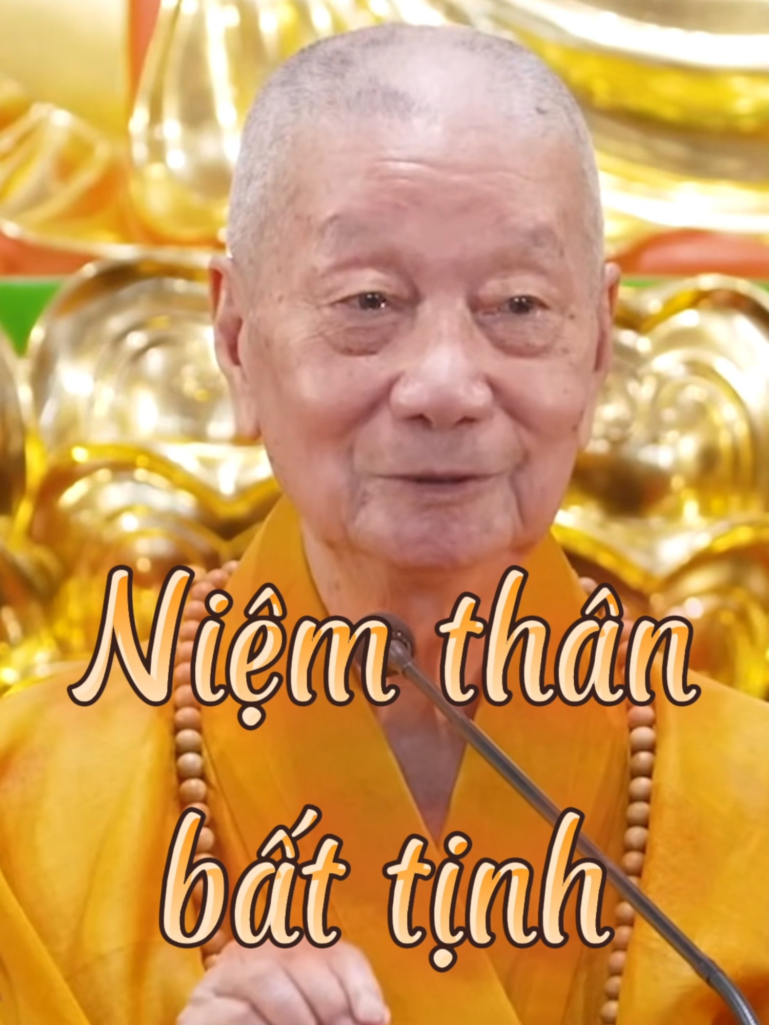 Niệm thân bất tịnh. Hòa Thượng Thích Trí Quảng khai thị #thichtriquang #hoathuongthichtriquang #nghephap #tutap #phatphap #phatgiao #daophat #daotrangphaphoa