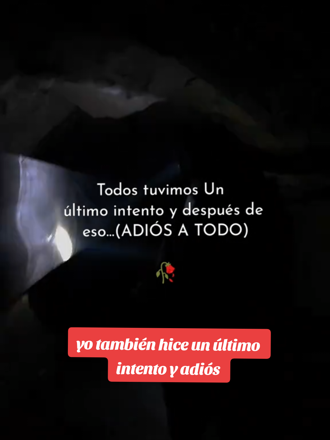 un último intento y adiós  🥀😑 #wisdin800 #frases 