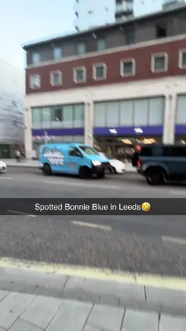 Spotted Bonnie Blues in Leeds