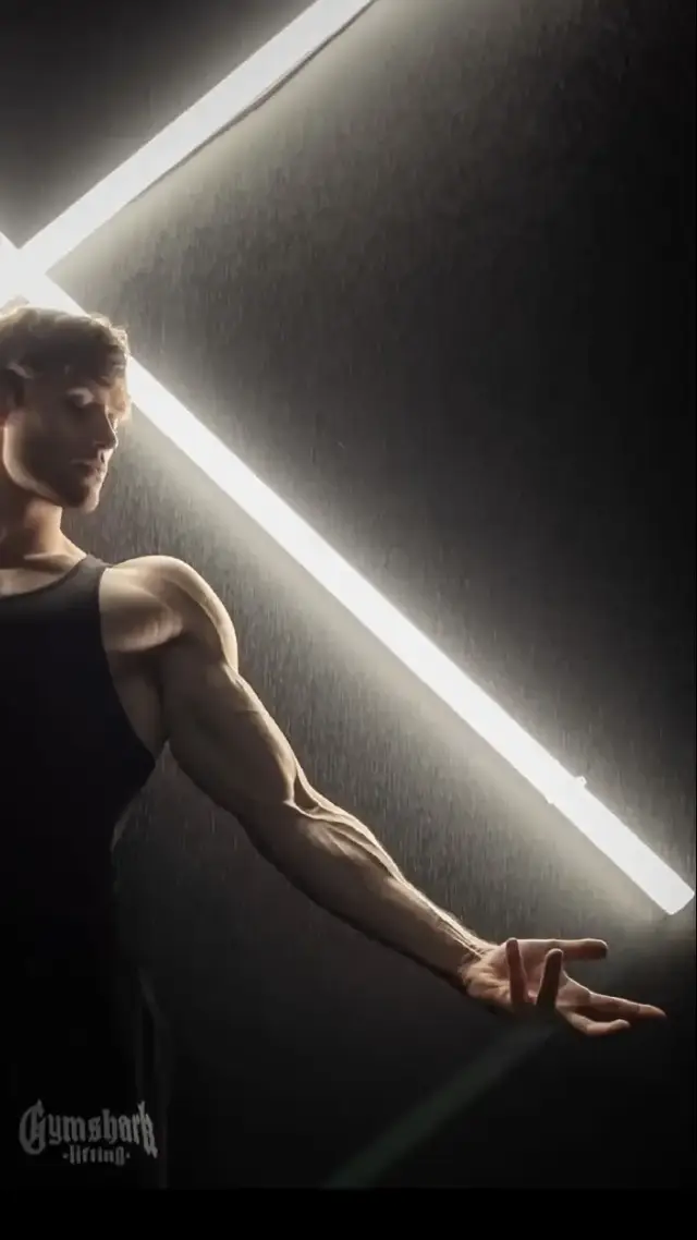 David.Laid.motivation...vermas
