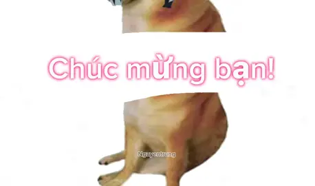Chúc mừng bn🤑🐧#xuhuong #xuhuongtiktok #fyp #doge #fyp 