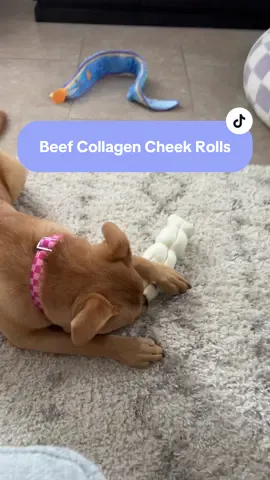 The price is so good right now too 👌🏼 #dogchews #dogsoftiktok #dogmomsoftiktok #bullybreeds #tiktokshopcreatorpicks 