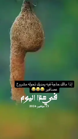 #في هذا اليوم