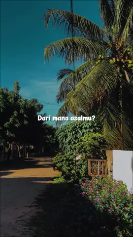Hai orang asing 🤚🏻👋🏻🥰 #liriklagu #orangasing #foryoupage #fyp 