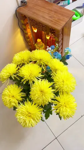 Nước dưỡng hoa Hana Bí quyết giúp hoa nở đều nở đẹp là đây nha mấy chị ơi #giadungnhabap93 #nuocduonghoa #nuocduonghoahana #hoadepmoingay 