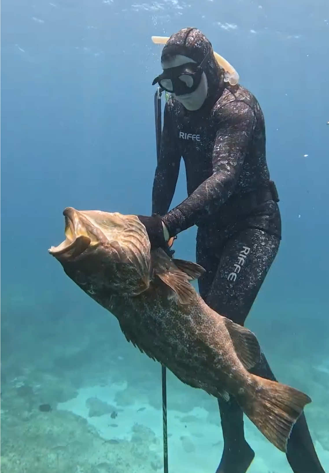Underwater Hunting for Big Grouper 😱 #spearfishing #fishing 