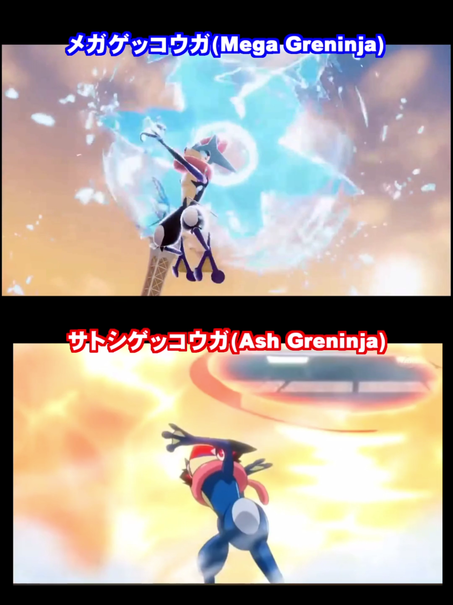 【比較】メガゲッコウガとサトシゲッコウガを比較 MegaGreninja AshGreninja #ポケモン #pokemon #greninja
