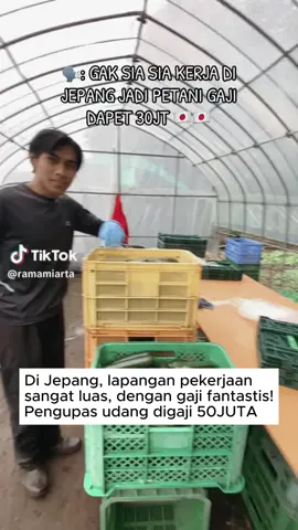 Lapangan pekerjaan di jepang sangat luas dan gajinya tinggi, karena penganggurannya sedikit #stockwise #andryhakim #kerjadijepang 
