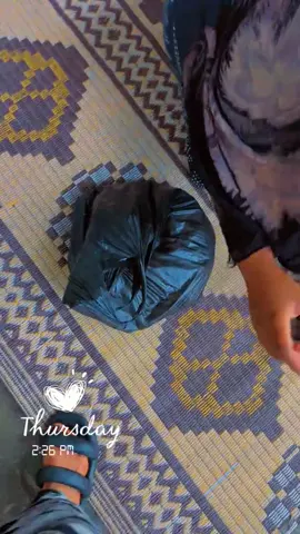 Sab 
